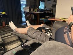 Lost Male Dog last seen AT&T store, San Rafael, CA 94903