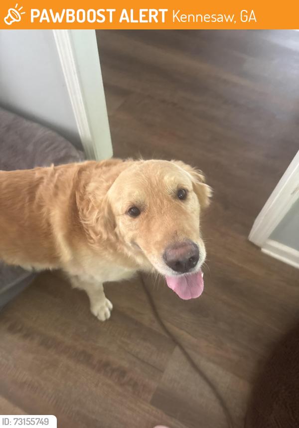 Found/Stray Male Dog last seen Pine Mountain, Kennesaw, GA 30152
