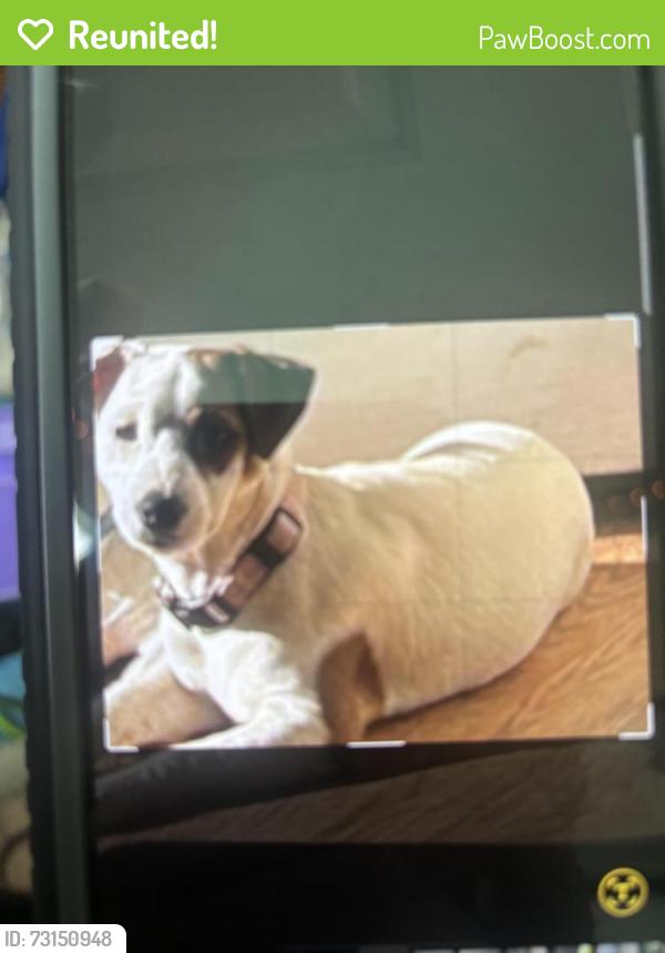 Reunited Female Dog last seen Near the haven of rest memorial place, Winfield, WV 25213