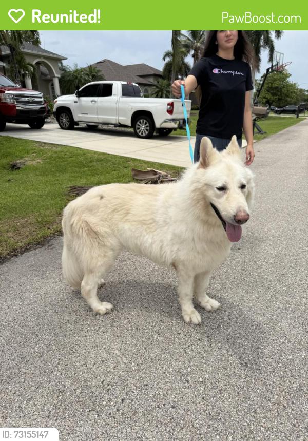 Reunited Male Dog last seen Veterans and Chiquita, Cape Coral, FL 33991