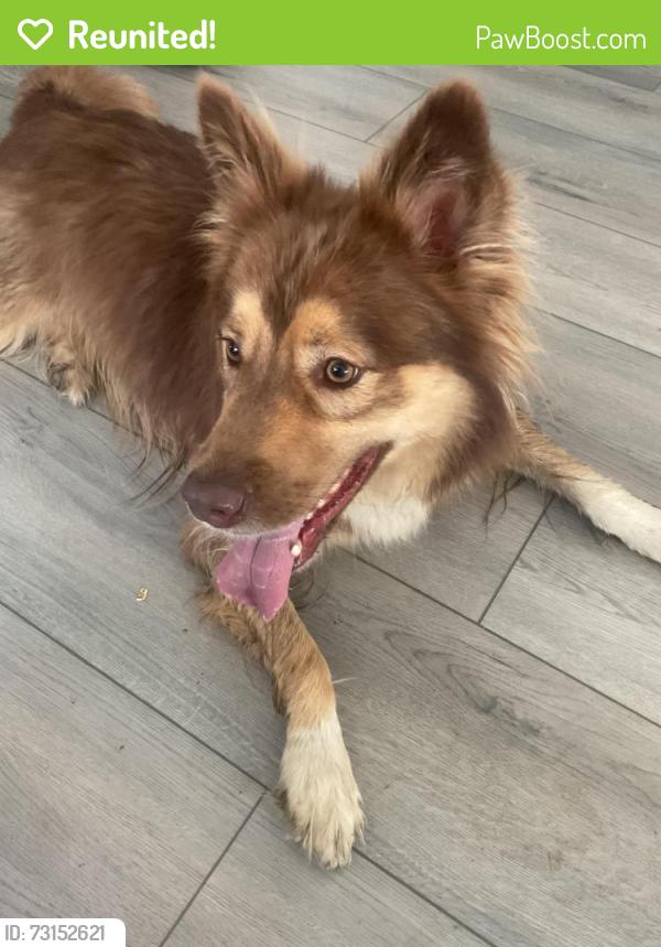 Reunited Unknown Dog last seen Highway 146 and 90, Liberty, TX 77575
