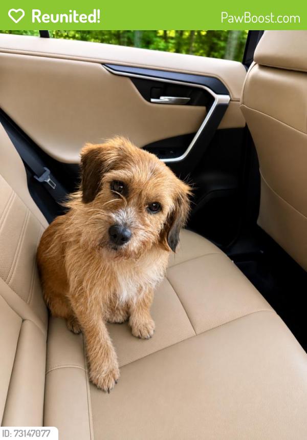 Reunited Male Dog last seen Near Broad Branch Circle Richmond, VA 23238, Richmond, VA 23238