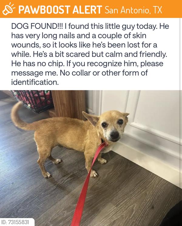 Found/Stray Male Dog last seen Near Lakebriar st, San Antonio, TX 78222