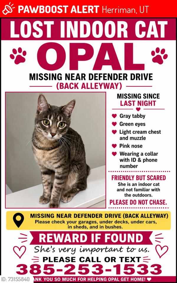 Lost Female Cat last seen Near w Messix Lane (13920 South) which is back alley way from my garage, Herriman, UT 84096