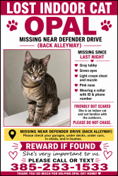 Lost Female Cat last seen Near w Messix Lane (13920 South) which is back alley way from my garage, Herriman, UT 84096