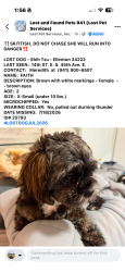 Lost Female Dog last seen 14th st e and 45 Ave e, Ellenton, FL 34222