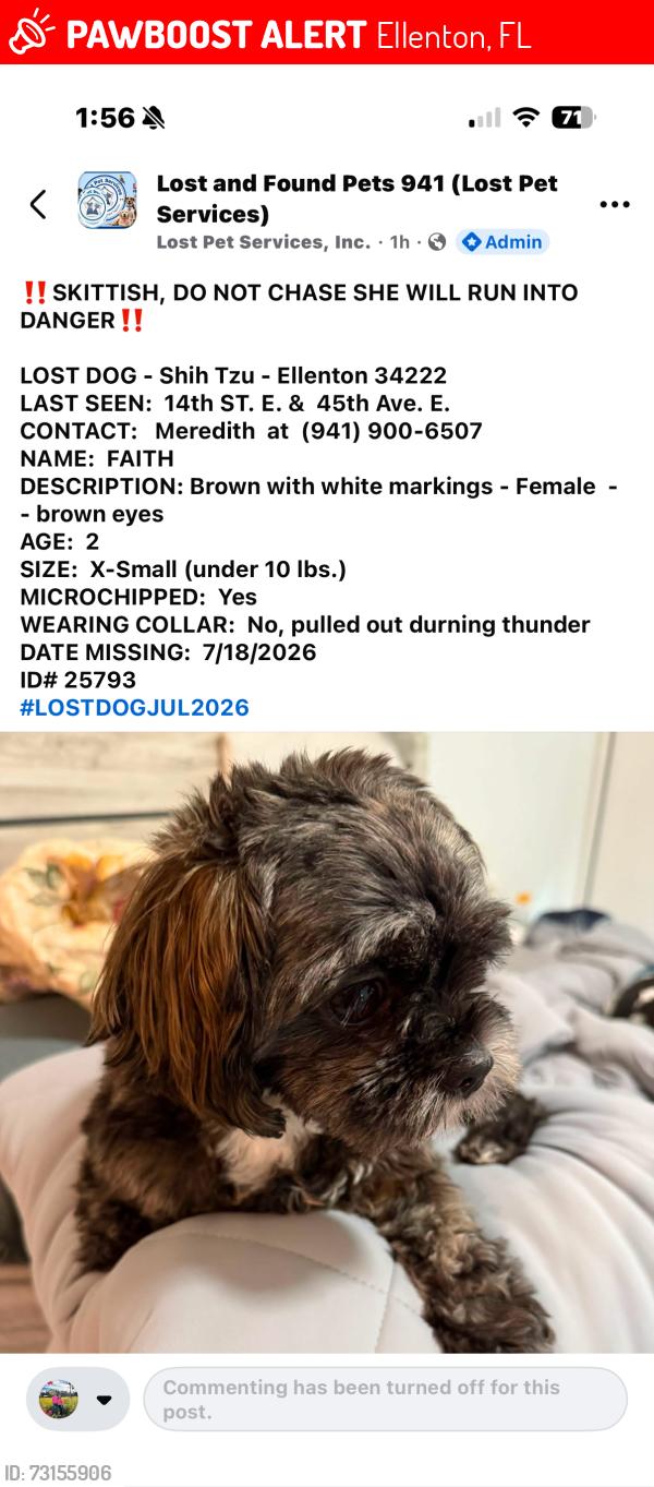 Lost Female Dog last seen 14th st e and 45 Ave e, Ellenton, FL 34222