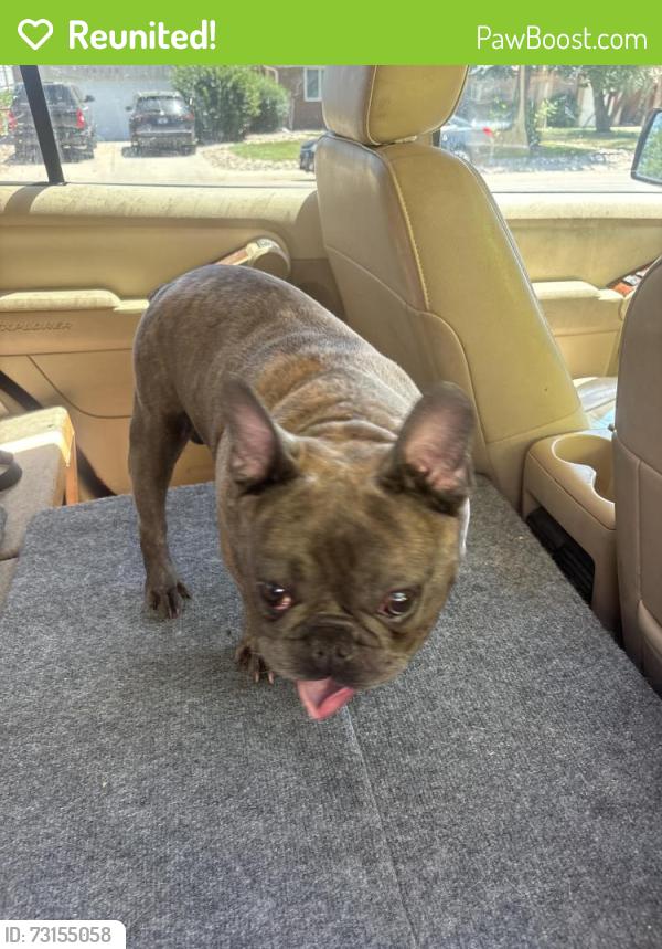 Reunited Male Dog last seen 104th & melody dr, Northglenn, CO 80260