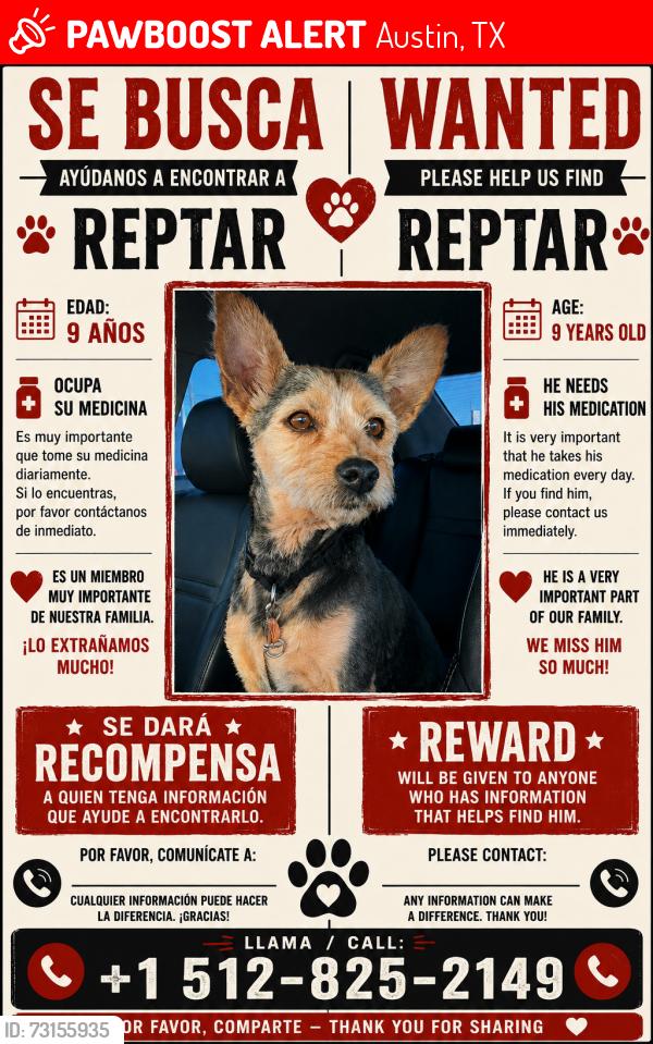 Lost Male Dog last seen bernice hart elementary, Austin, TX 78753