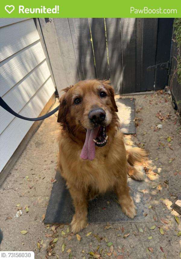 Reunited Male Dog last seen Near Ximeno Ave, Long Beach, CA 90815, USA, Long Beach, CA 90815