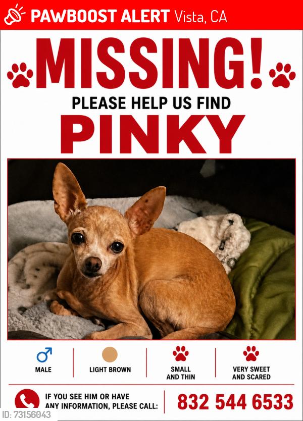 Lost Male Dog last seen Gannet Dr, Vista, CA 92083