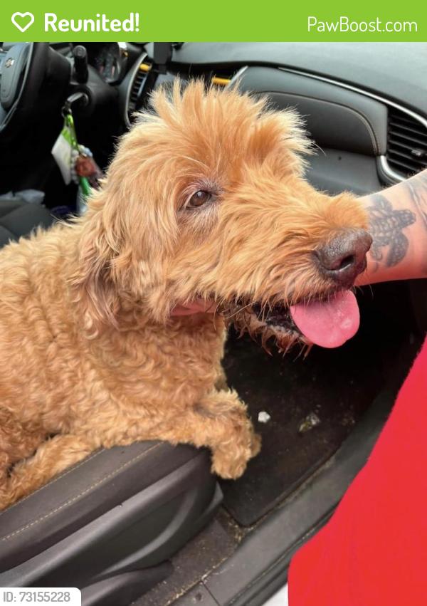 Reunited Female Dog last seen Crocus Dr in Lake Francis, Northwest Pensacola, FL 32526