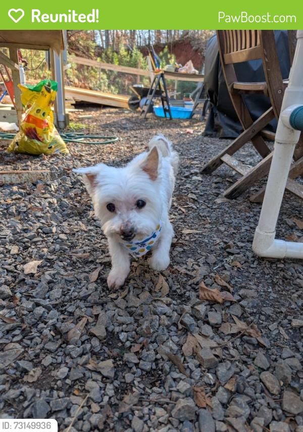 Reunited Male Dog last seen N/a, Ocoee, TN 37361