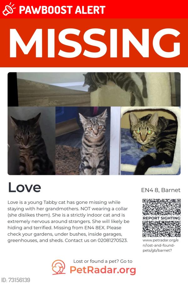 Lost Female Cat last seen Near Russell Ln, London N20 0BA, United Kingdom, London, England EN4 8EX
