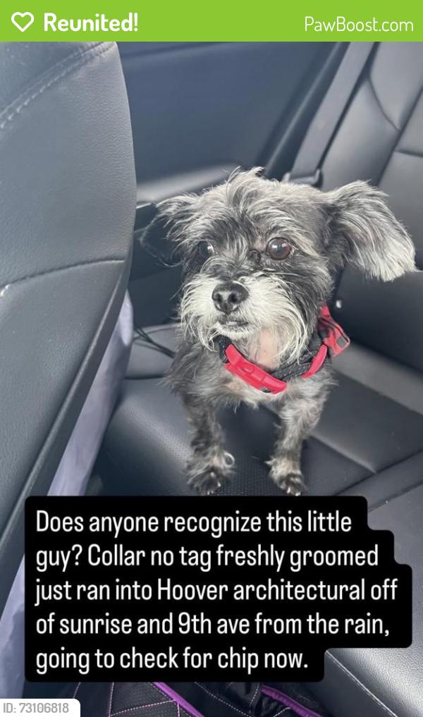 Reunited Male Dog last seen 9th ave and sunrise by Hoover architecture, Fort Lauderdale, FL 33315