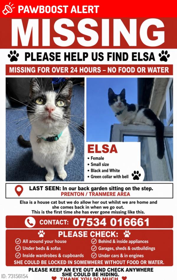Lost Female Cat last seen Back garden, Merseyside, England 