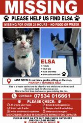 Lost Female Cat last seen Back garden, Merseyside, England 