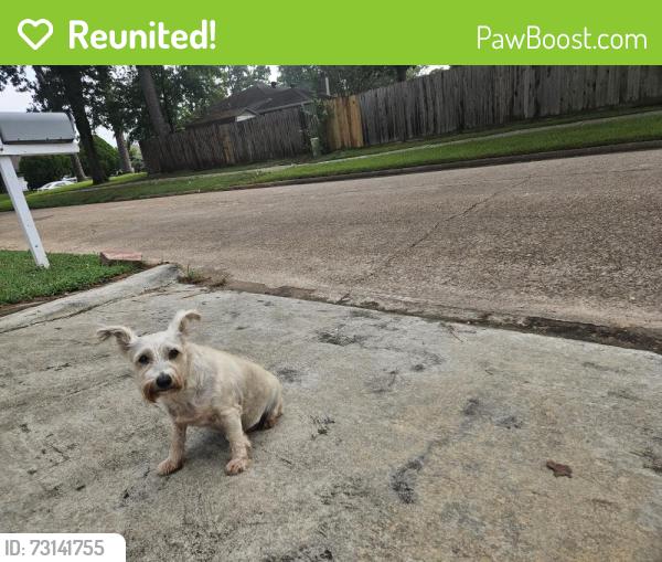 Reunited Male Dog last seen Montague Dr and Adonis Dr, Spring, TX 77373