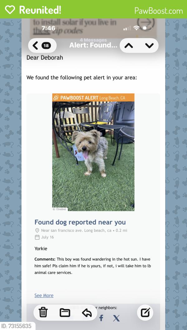 Reunited Male Dog last seen San Francisco and burnett, Long Beach, CA 90806