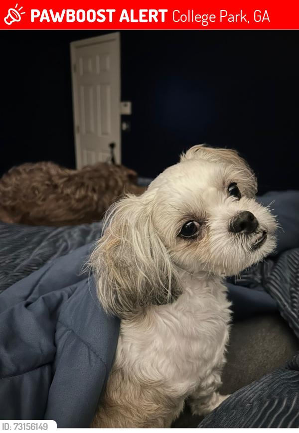 Lost Male Dog last seen Neighborhood-Heritage Park (College Park/Atl Ga), College Park, GA 30337