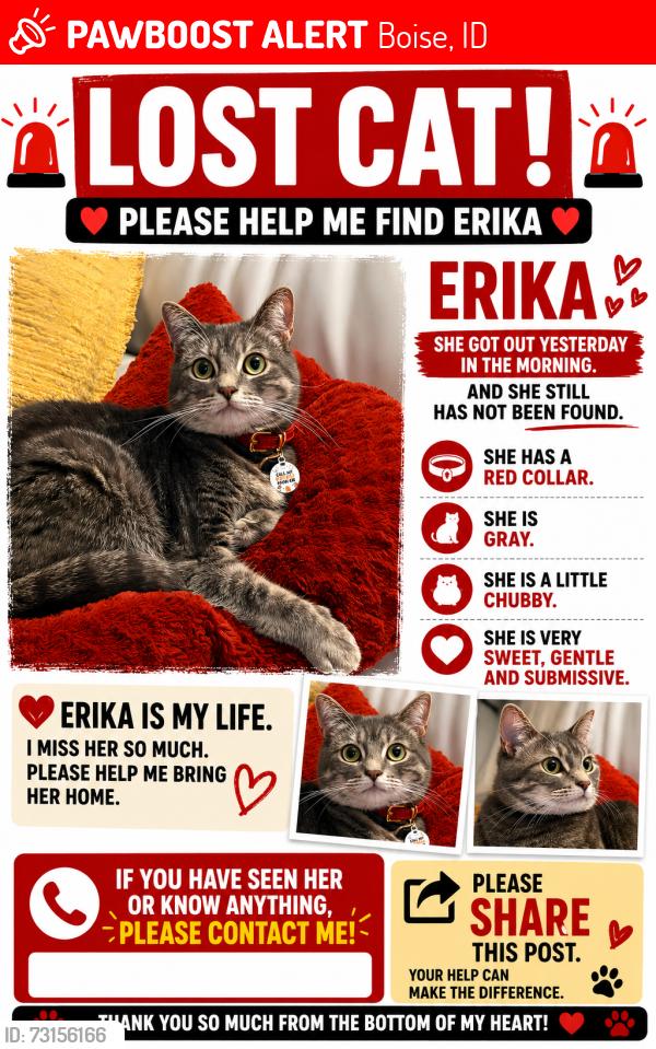 Lost Female Cat last seen Near w mesquite st 83713, Boise, ID 83713