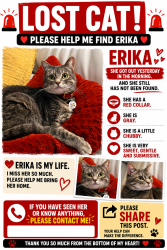 Lost Female Cat last seen Near w mesquite st 83713, Boise, ID 83713
