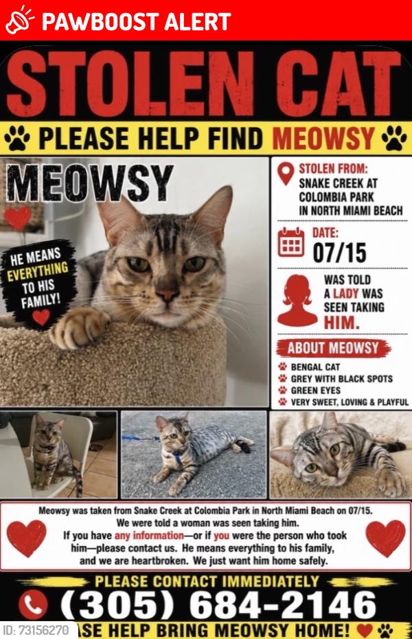 Lost Male Cat last seen Snake creek canal, North Miami Beach, FL 33162