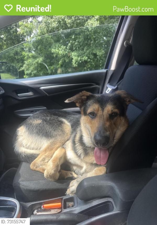 Reunited Male Dog last seen Coolspring Jumonvill Rd, Lemont Furnace, PA, USA, Lemont Furnace, PA 15456