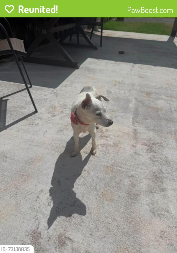 Reunited Female Dog last seen Near & Weston rd, Shawnee, OK 74804