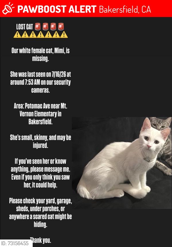 Lost Female Cat last seen Virginia, Bakersfield, CA 93307