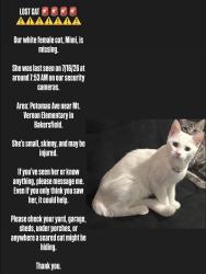 Lost Female Cat last seen Virginia, Bakersfield, CA 93307