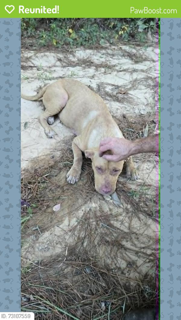 Reunited Female Dog last seen county road 3407, Henderson County, TX 75758