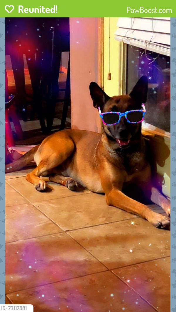 Reunited Male Dog last seen Motel 6, Priest, and Broadway, Tempe, AZ 85282