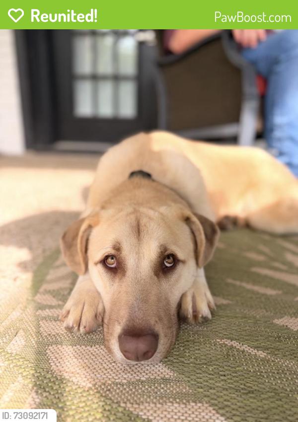 Reunited Male Dog last seen Near E Spring St, Weatherford, TX 76086, USA, Weatherford, TX 76086