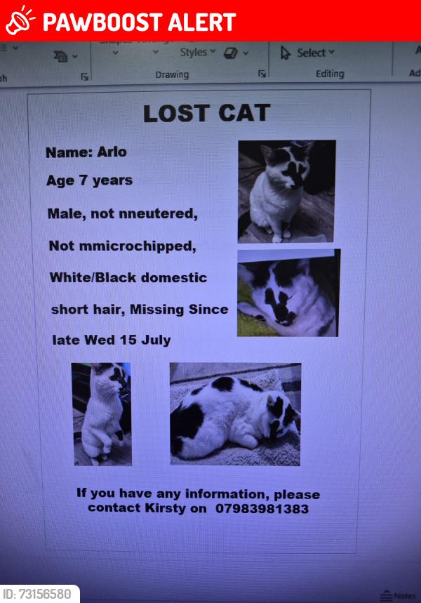 Lost Male Cat last seen B448ab, West Midlands, England 