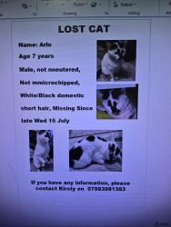 Lost Male Cat last seen B448ab, West Midlands, England 