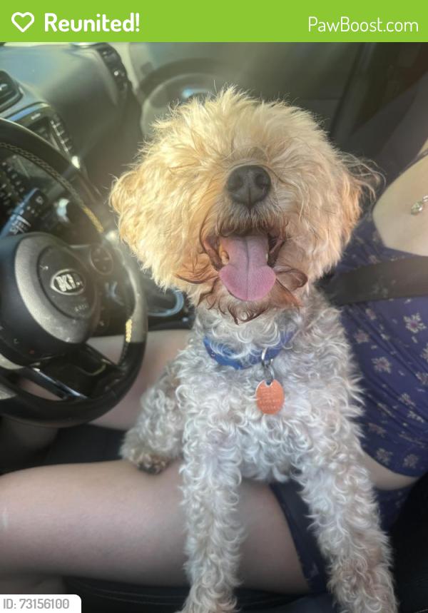 Reunited Male Dog last seen Uncommon apmts, Wilmington, NC 28403