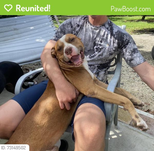 Reunited Male Dog last seen 248TH ST, Homestead, FL 33031