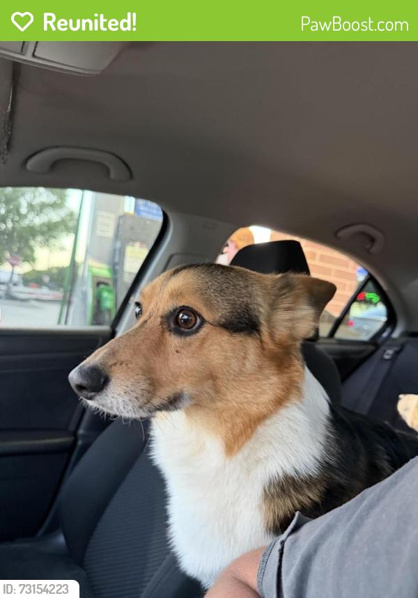 Reunited Male Dog last seen Smithfield acres - Payte LN, North Richland Hills, TX 76180