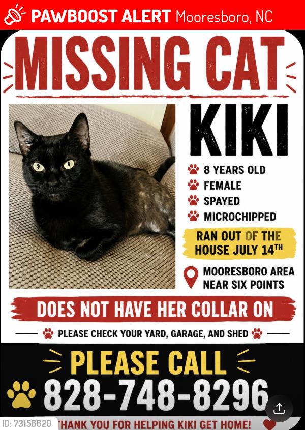 Lost Female Cat last seen Ran into a field next to hse, Mooresboro, NC 28114