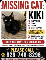 Lost Female Cat last seen Ran into a field next to hse, Mooresboro, NC 28114