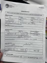 Shelter Stray Female Dog last seen Unknown, NEW YORK, NY, 10029, 326 E 110th St, New York, NY 10029, USA
