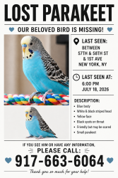 Lost Female Bird last seen 58th st and 1st ave, New York, NY 10022