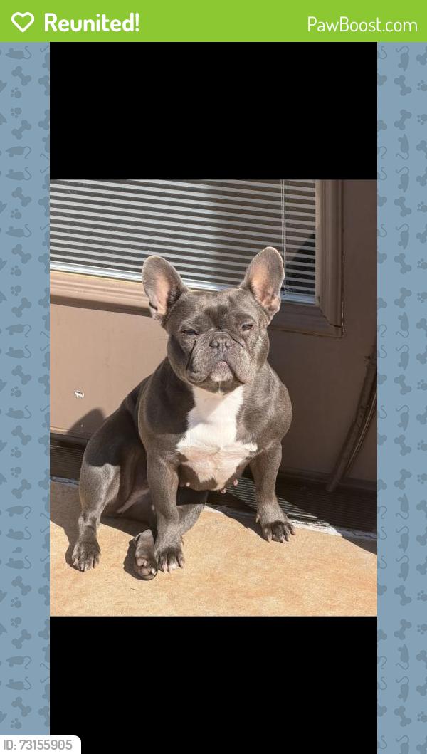 Reunited Female Dog last seen Near E Memorial Rd, Edmond, OK 73013, USA, Edmond, OK 73013