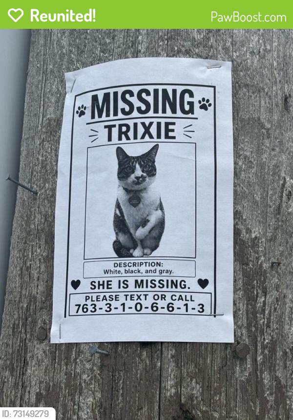 Reunited Female Cat last seen New Brighton, MN 55112, USA, New Brighton, MN 55112
