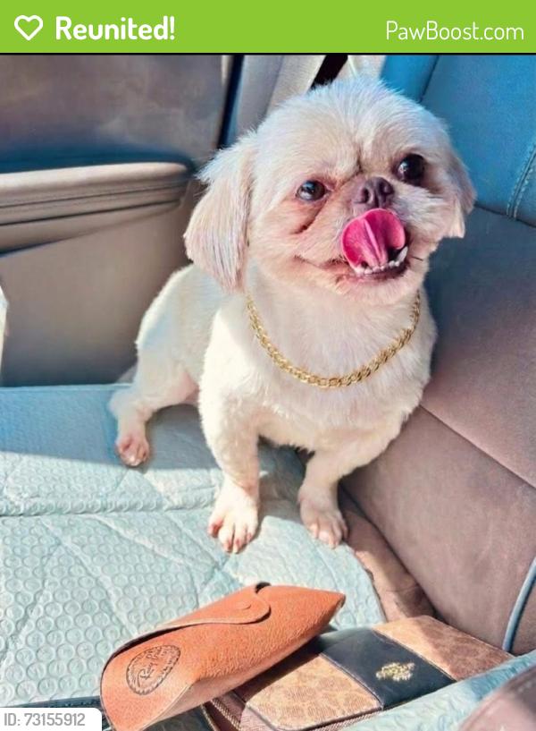 Reunited Male Dog last seen First irving church, Irving, TX 75060