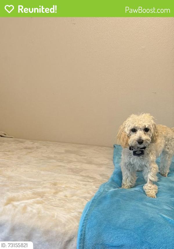 Reunited Male Dog last seen Clubview Dr. & Rose Rd, Tyler, TX 75701