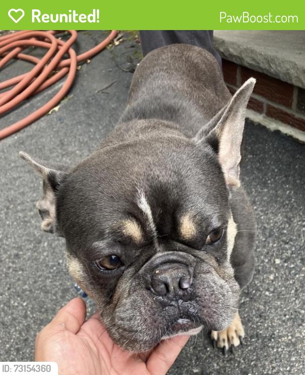 Reunited Male Dog last seen Near Broad Street Clifton, Clifton, NJ 07013