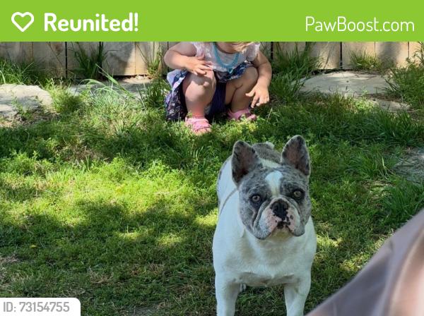 Reunited Female Dog last seen Wilson and Planz in Spice Tract, Bakersfield, CA 93309