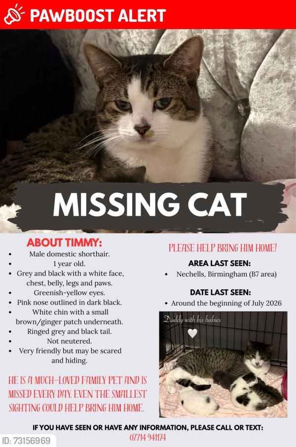 Lost Male Cat last seen Nechells, West Midlands, England B7 5DG